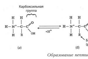 Vetitë e një lidhje peptide