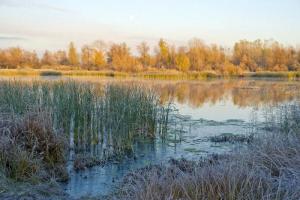 Popujt e vegjël dhe të mëdhenj të Siberisë