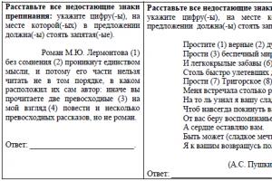 Medžiaga, skirta pasiruošti vieningam valstybiniam rusų kalbos egzaminui