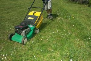 How to operate a lawn mower Mowing grass with a lawn mower